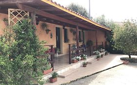 Domu De Palla- Iun-E5167